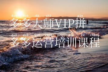 多多大师VIP拼多多运营培训课程