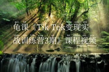 龟课《Tik Tok变现实战训练营3期》课程视频