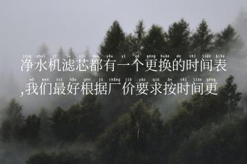 净水机滤芯都有一个更换的时间表,我们最好根据厂价要求按时间更