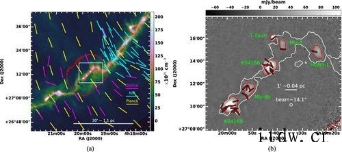 IT大王揭示金牛座 B213 区域太阳型恒星形成核区磁场多样
