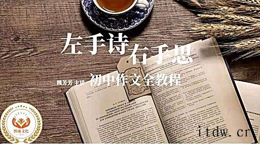 熊芳芳语文课《左手诗右手思：初中作文全教程》