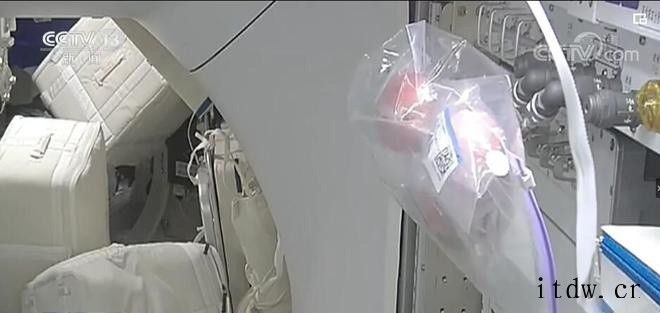 中国空间站航天员“吃播”,这么多道菜没想到苹果的镜头最多