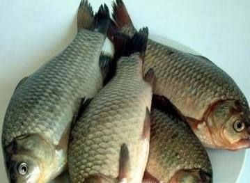 白萝卜,鲫鱼,葱姜蒜,辣椒,香菜等调味品,起锅