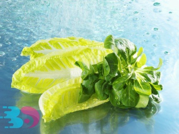 炒菜焯水如何预防营养物质的流失