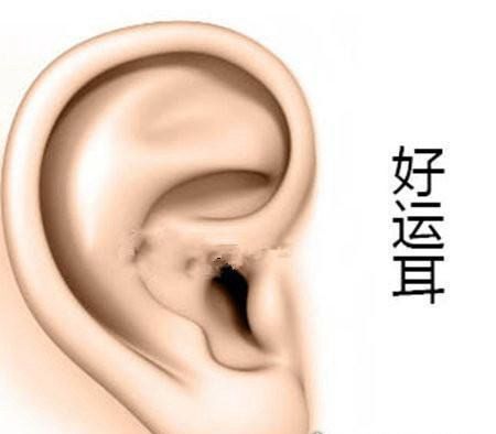 耳朵大有福是假的 有福气的耳朵盘点