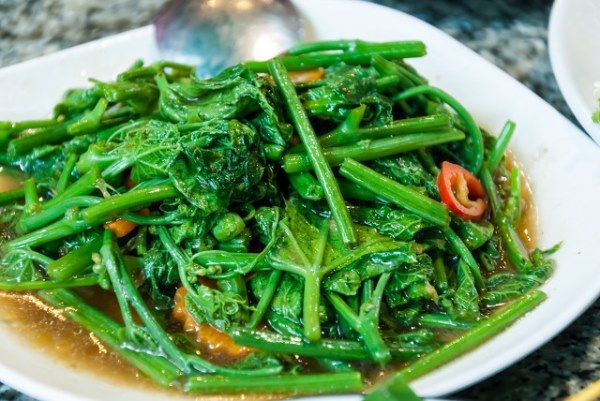 炒菜焯水如何预防营养物质的流失
