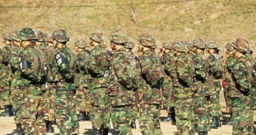 师级编制人数由军种和国家决定