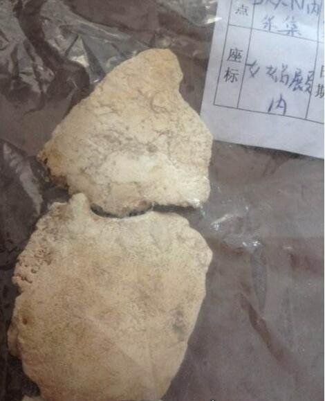 考古现场发现6200年前的女娲遗骨 “女娲”真实性遭质疑