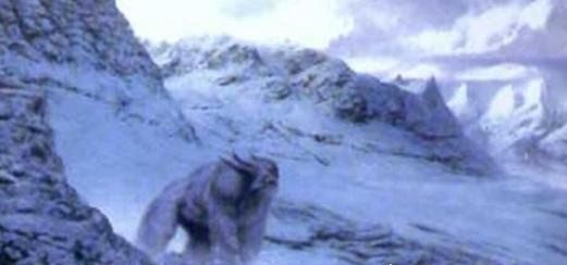 喜马拉雅雪人之谜 目前和神农架野人一样