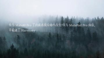 华为 Mate40 Pro 上的新系统有哪些改变?华为 MatePad Pro 体验,平板遇上 Harmony