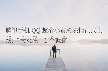 腾讯手机 QQ 超清小黄脸表情正式上线:“大菜汪”1 个就霸