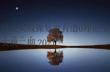 锋芒实战课复盘有道0理论全实战二期 2021