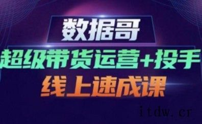 数据哥·超级带货运营+投手线上速成课