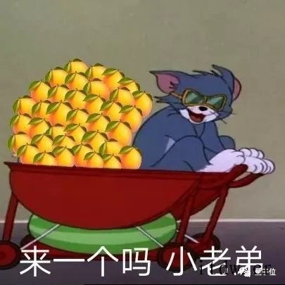 25岁计算机应届博士当上 985 博导,今年秋季学生已招满