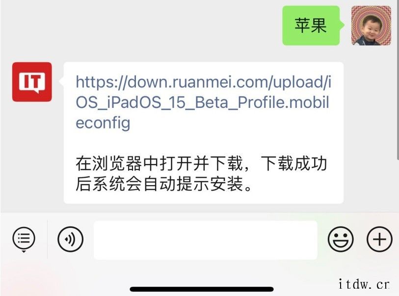 苹果 iPadOS 15
