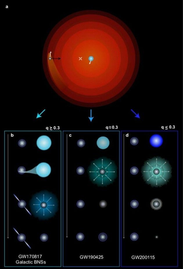 不符合科学理论的引力波数据,揭示中子星双星系统的形成秘密