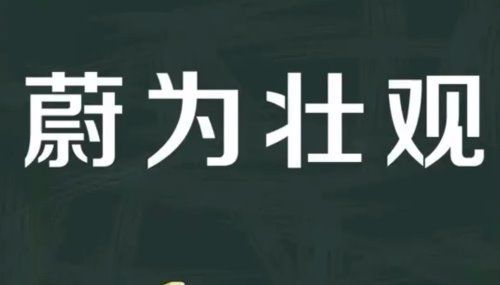 蔚为壮观的意思是什么？