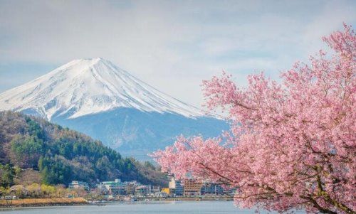 日本地形以什么为主