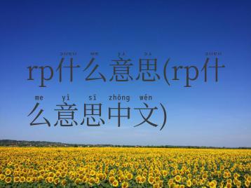 rp什么意思(rp什么意思中文)