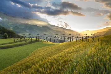 卷纸在哪买(卷烟纸在哪买)