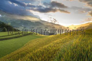 包含德孝园在哪里的词条