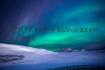 微软联手AMD发布 Radeon RX 6900 XT《光环