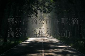赣州滴滴公司在哪(滴滴公司赣州分公司)