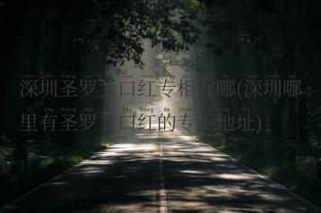 深圳圣罗兰口红专柜在哪(深圳哪里有圣罗兰口红的专柜地址)