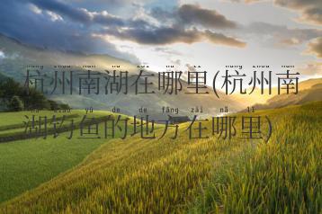 杭州南湖在哪里(杭州南湖钓鱼的地方在哪里)