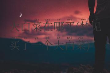 大白菜在哪买(梦见买了一个大白菜)