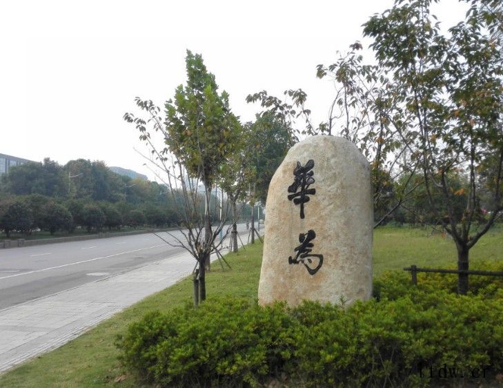 最早的华为 Logo 你见过没,通信设备商隐秘史揭露