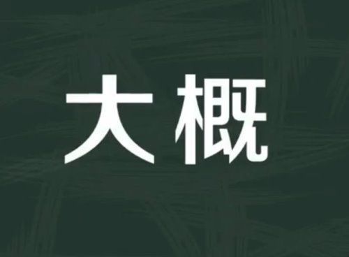 大概的意思是什么？