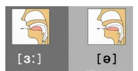 元音字母有哪些？