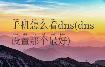 手机怎么看dns(dns设置那个最好)