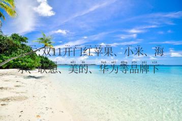 京东:双11开门红苹果、小米、海尔、联想、美的、华为等品牌下