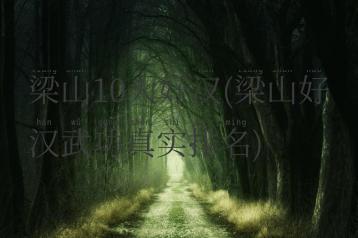 梁山10大好汉(梁山好汉武功真实排名)