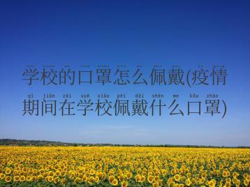 学校的口罩怎么佩戴(疫情期间在学校佩戴什么口罩)