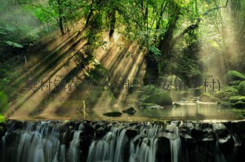 樊村镇在哪(洪洞县万安镇樊村)