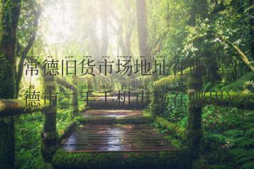 常德旧货市场地址在哪(常德市二手手机市场在哪里)