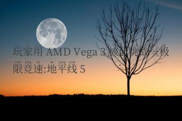 玩家用 AMD Vega 3 核显挑战《极限竞速:地平线 5