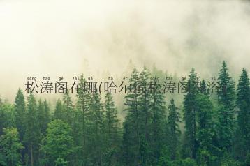 松涛阁在哪(哈尔滨松涛阁洗浴)