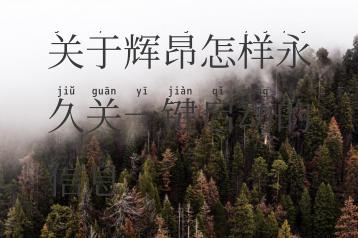 关于辉昂怎样永久关一键启动的信息