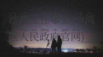 沙湾区在哪里(沙湾区人民政府官网)