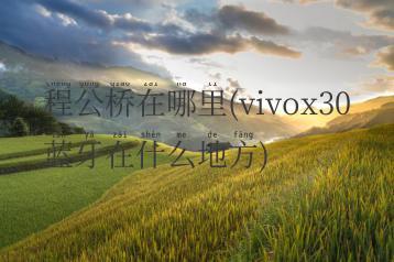 程公桥在哪里(vivox30蓝牙在什么地方)