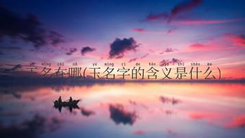 玉名在哪(玉名字的含义是什么)