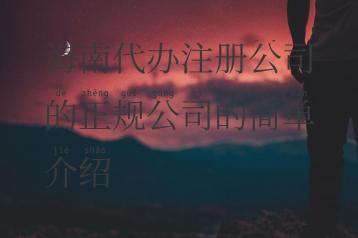 海南代办注册公司的正规公司的简单介绍