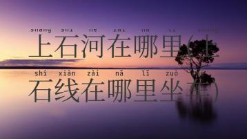 上石河在哪里(上石线在哪里坐车)
