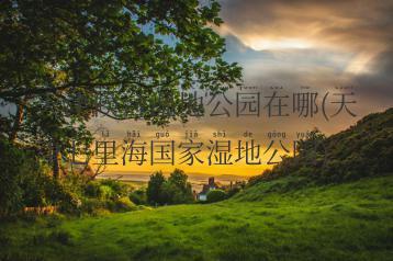 天津候台湿地公园在哪(天津七里海国家湿地公园)