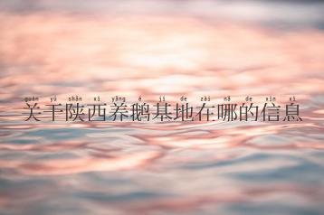关于陕西养鹅基地在哪的信息