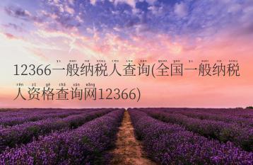 12366一般纳税人查询(全国一般纳税人资格查询网12366)